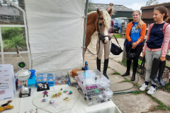 Hoog-bezoek, Mousse de pony komt even gluren